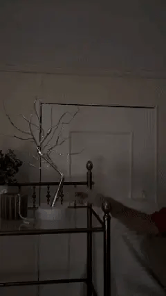 Lámpara Bonsai LED ✨ ILUMINA CON CARIÑO 💞 Regala paz y conexión todos los días